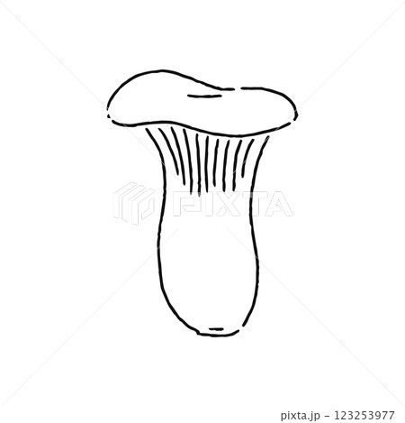 エリンギ 線画 エリンギ 線画 123253977