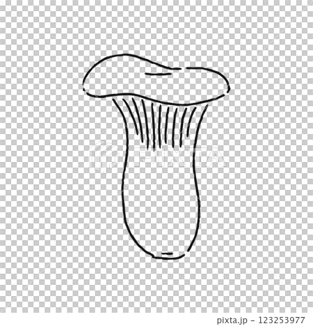 エリンギ 線画 エリンギ 線画 123253977