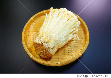 エノキタケ 榎茸 エノキダケ ナメタケ ナメススキ ユキノシタ キノコ きのこ エノキタケ 榎茸 エノキダケ ナメタケ ナメススキ ユキノシタ キノコ きのこ 123254216