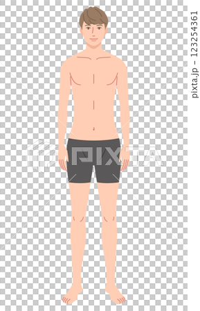 男性　体型　骨格モデル　骨格ウェーブ 123254361