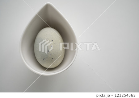 中華食材ピータン　 123254365