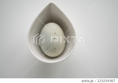 中華食材ピータン　 123254367