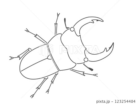 オオクワガタ　透過 123254484