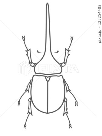ヘラクレスオオカブト ヘラクレスオオカブト 123254488