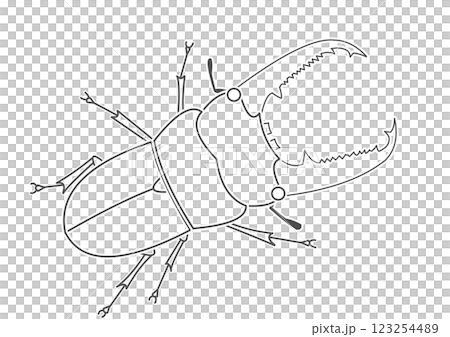 ヒラタクワガタ ヒラタクワガタ 123254489