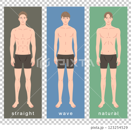 Men's skeletal diagnosis 3 types Body type Skeletal type Men's skeletal diagnosis 3 types Body type Skeletal type 123254529