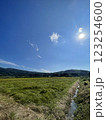 静岡の何処か 123254600