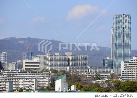 北摂の高層マンション群と団地 北摂の高層マンション群と団地 123254610