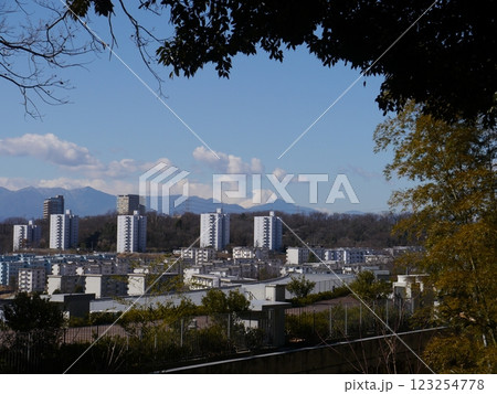 百草園から見える富士山 123254778