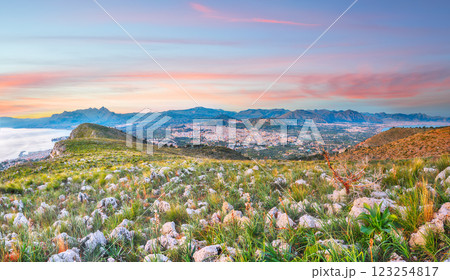 Panoramic view of Bagheria Palermo and Santa Flavia towns and national park Orientata Pizzo Cane Panoramic view of Bagheria Palermo and Santa Flavia towns and national park Orientata Pizzo Cane 123254817