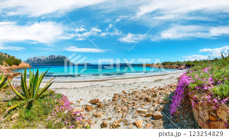 Superb azure water with rocks and lots of flowers at Doctors beach (Spiaggia del Dottore) near Porto Istana. Superb azure water with rocks and lots of flowers at Doctors beach (Spiaggia del Dottore) near Porto Istana. 123254829