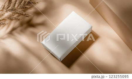 Minimalistic package mockup in neutral colors on soft background 123255095