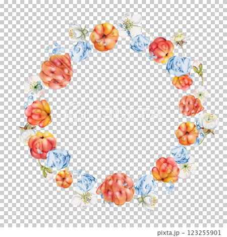 Cloudberry raspberry flying in water splashes drops, hand drawn in watercolor, red forest berry, white flowers leaves. Circle wreath frame illustration. Restaurant cafe menu, farmers market, juice bar 123255901