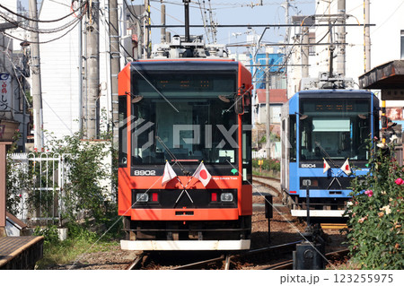 都電荒川線 都電荒川線 123255975