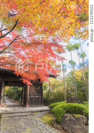 輪王寺 晩秋 輪王寺 晩秋 123256022
