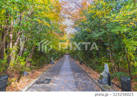 輪王寺　晩秋 123256025