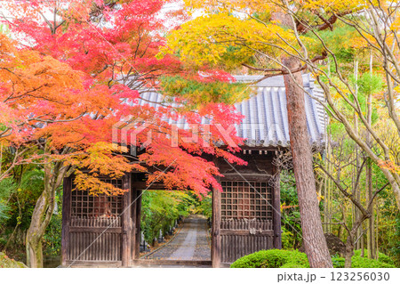 輪王寺 晩秋 輪王寺 晩秋 123256030