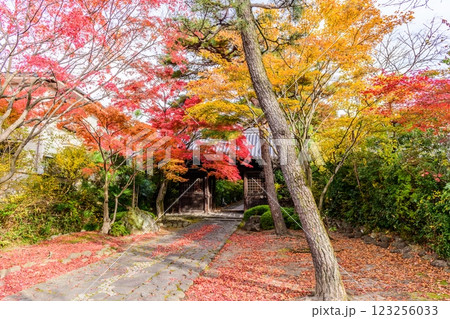 輪王寺　晩秋 123256033
