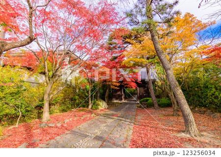 輪王寺　晩秋 123256034