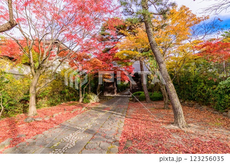 輪王寺　晩秋 123256035
