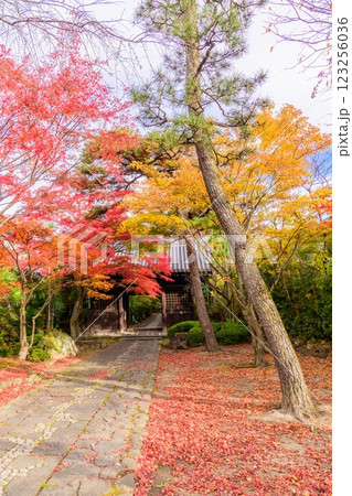輪王寺　晩秋 123256036