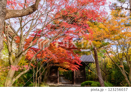 輪王寺 晩秋 輪王寺 晩秋 123256037