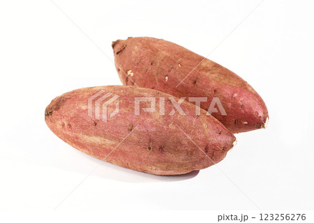 さつまいも(紅まさり) さつまいも(紅まさり) 123256276