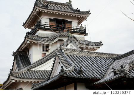 高知城の天守閣 高知城の天守閣 123256377