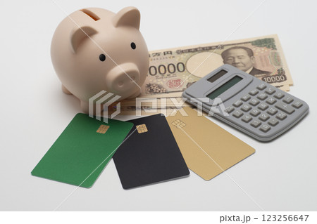 豚の貯金箱とクレジットカードと電卓 豚の貯金箱とクレジットカードと電卓 123256647