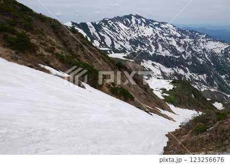 別山と砂防新道の雪渓 123256676