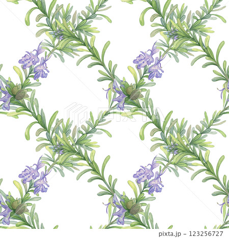 Twigs of blooming rosemary. Seamless watercolor patter. Checkered pattern. Botanical illustration. Composition suitable for printing on fabric, packaging and wallpaper Twigs of blooming rosemary. Seamless watercolor patter. Checkered pattern. Botanical illustration. Composition suitable for printing on fabric, packaging and wallpaper 123256727