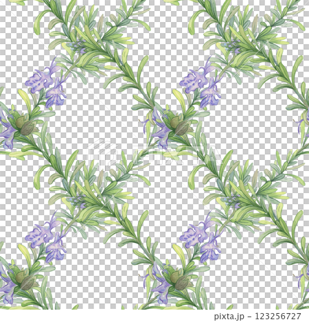Twigs of blooming rosemary. Seamless watercolor patter. Checkered pattern. Botanical illustration. Composition suitable for printing on fabric, packaging and wallpaper Twigs of blooming rosemary. Seamless watercolor patter. Checkered pattern. Botanical illustration. Composition suitable for printing on fabric, packaging and wallpaper 123256727