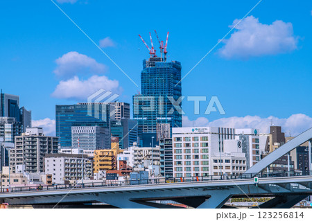 日本の東京都市景 日本橋や築地大橋（手前）などを望む。クレーンが並ぶ巨大な再開発ビル（右奥）が見える 123256814