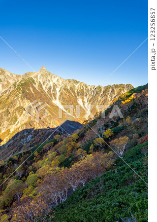 喜作新道のヒュッテ西岳から見上げる北鎌尾根と槍ヶ岳 北アルプス表銀座縦走の槍ヶ岳登山 喜作新道のヒュッテ西岳から見上げる北鎌尾根と槍ヶ岳 北アルプス表銀座縦走の槍ヶ岳登山 123256857