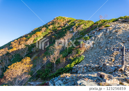 喜作新道のヒュッテ西岳から見上げる西岳 北アルプス表銀座縦走の槍ヶ岳登山 喜作新道のヒュッテ西岳から見上げる西岳 北アルプス表銀座縦走の槍ヶ岳登山 123256859