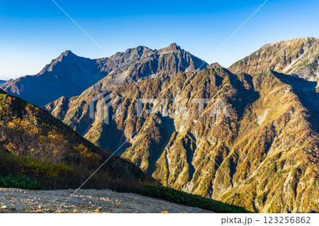 喜作新道のヒュッテ西岳から見上げる穂高連峰 北アルプス表銀座縦走の槍ヶ岳登山 喜作新道のヒュッテ西岳から見上げる穂高連峰 北アルプス表銀座縦走の槍ヶ岳登山 123256862