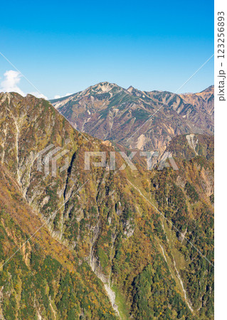 喜作新道から見る鷲羽岳とワリモ岳　北アルプス表銀座縦走の槍ヶ岳登山 123256893