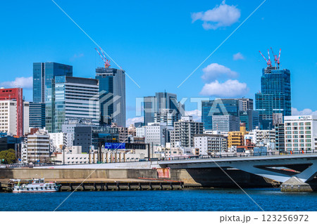 日本の東京都市景 日本橋や築地大橋（手前）などを望む。クレーンが並ぶ巨大な再開発ビル（右奥）が見える 123256972