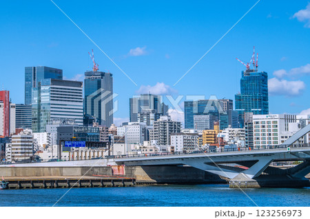 日本の東京都市景 日本橋や築地大橋(手前)などを望む。クレーンが並ぶ巨大な再開発ビル(右奥)が見える 日本の東京都市景 日本橋や築地大橋(手前)などを望む。クレーンが並ぶ巨大な再開発ビル(右奥)が見える 123256973