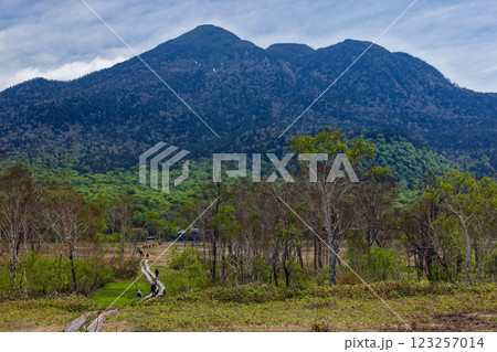 初夏の尾瀬ヶ原を行くハイカーと燧ケ岳 123257014