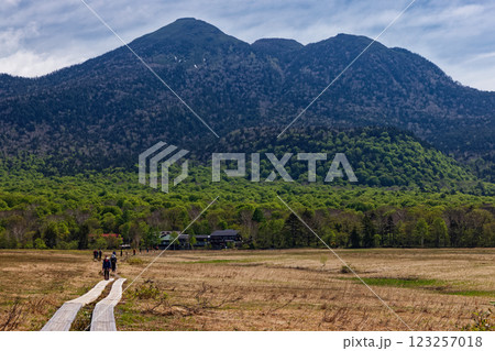 初夏の尾瀬ヶ原を行くハイカーと燧ケ岳 123257018
