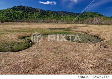 初夏の尾瀬ヶ原から見る新緑の山並み 123257112