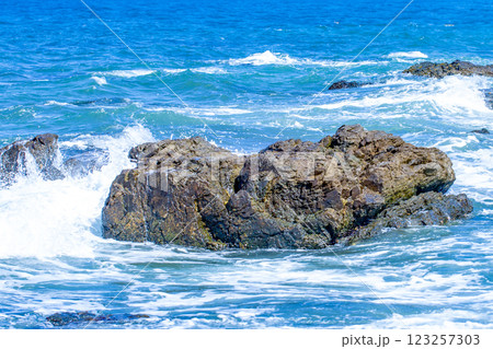 岩礁と波しぶき 123257303
