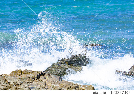 岩礁と波しぶき 123257305