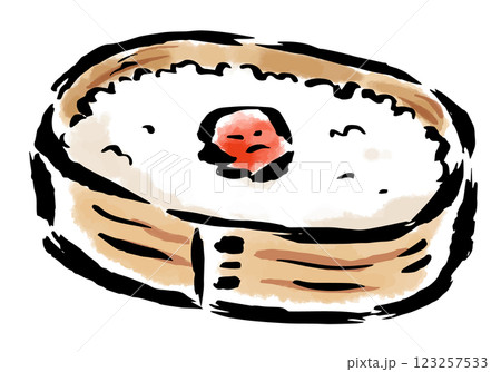 日の丸弁当　筆タッチ手描きイラスト 123257533