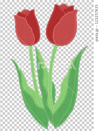縫い目のあるワッペン風の赤色のチューリップのイラスト 縫い目のあるワッペン風の赤色のチューリップのイラスト 123257635