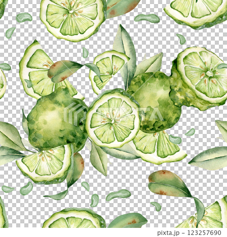 Bergamots with leaves bright summer watercolor seamless pattern isolated. Segments of bright citrus lime and artistic foliage drawn on botanical repeated texture. Green fruits painted for design Bergamots with leaves bright summer watercolor seamless pattern isolated. Segments of bright citrus lime and artistic foliage drawn on botanical repeated texture. Green fruits painted for design 123257690