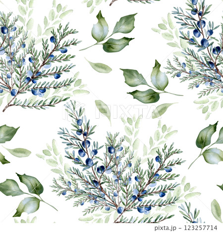 Seamless watercolor pattern of juniper berries and branches isolated. Botanical greenery in soft sage tones hand painted. Coniferous woodland plants for fabric, packaging, wallpapers vintage designs. 123257714