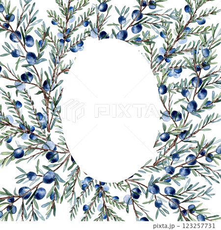 Watercolor juniper branch with berries in a wreath isolated on white. Hand painted evergreen twig with soft green needles. Botanical illustration for gin labels, nature designs, and herbal branding. 123257731