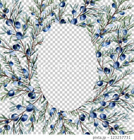 Watercolor juniper branch with berries in a wreath isolated on white. Hand painted evergreen twig with soft green needles. Botanical illustration for gin labels, nature designs, and herbal branding. 123257731